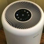 The 8 Best Air Purifiers of 2025