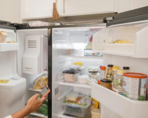 which brand of refrigerator is best in 2025