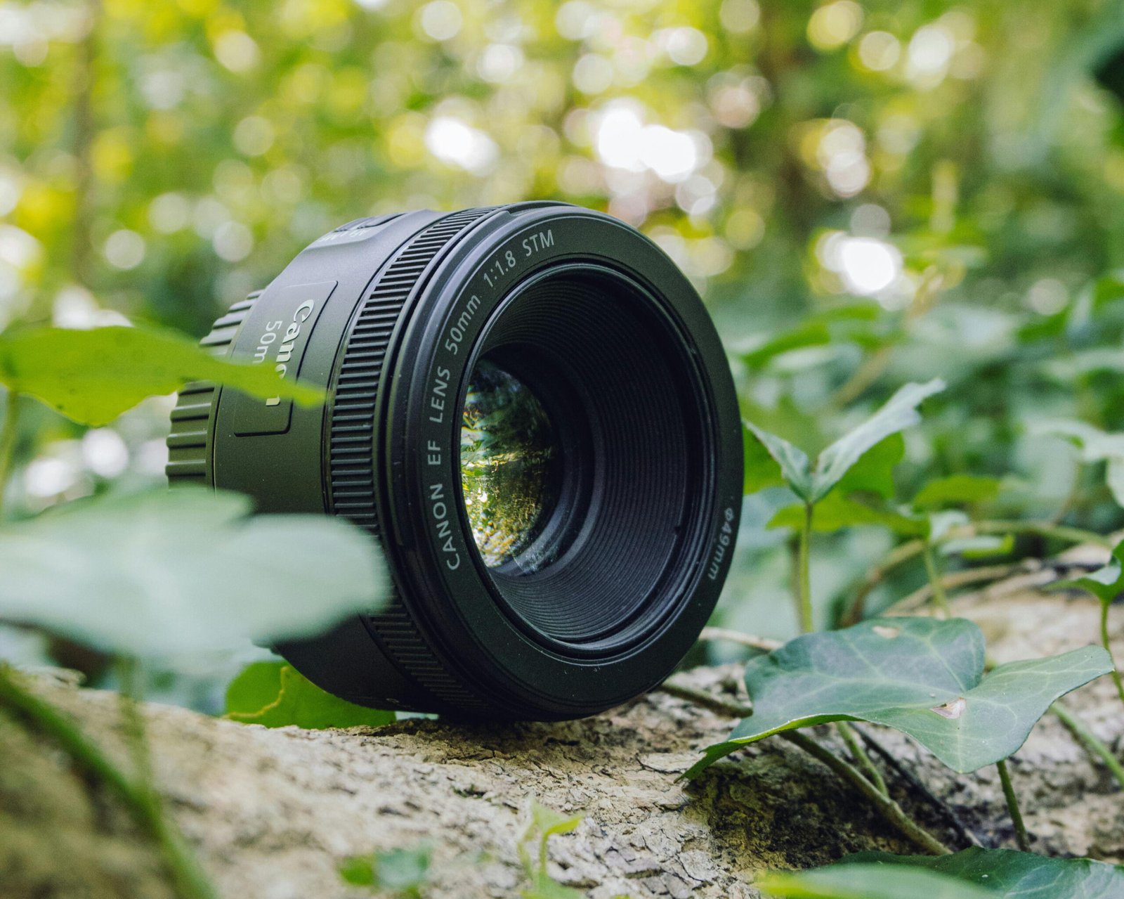 What to Consider When Choosing a Lens in 2025