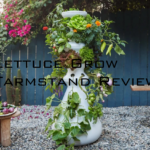 Lettuce Grow Farmstand Review: Is This Hydroponic System Worth It?