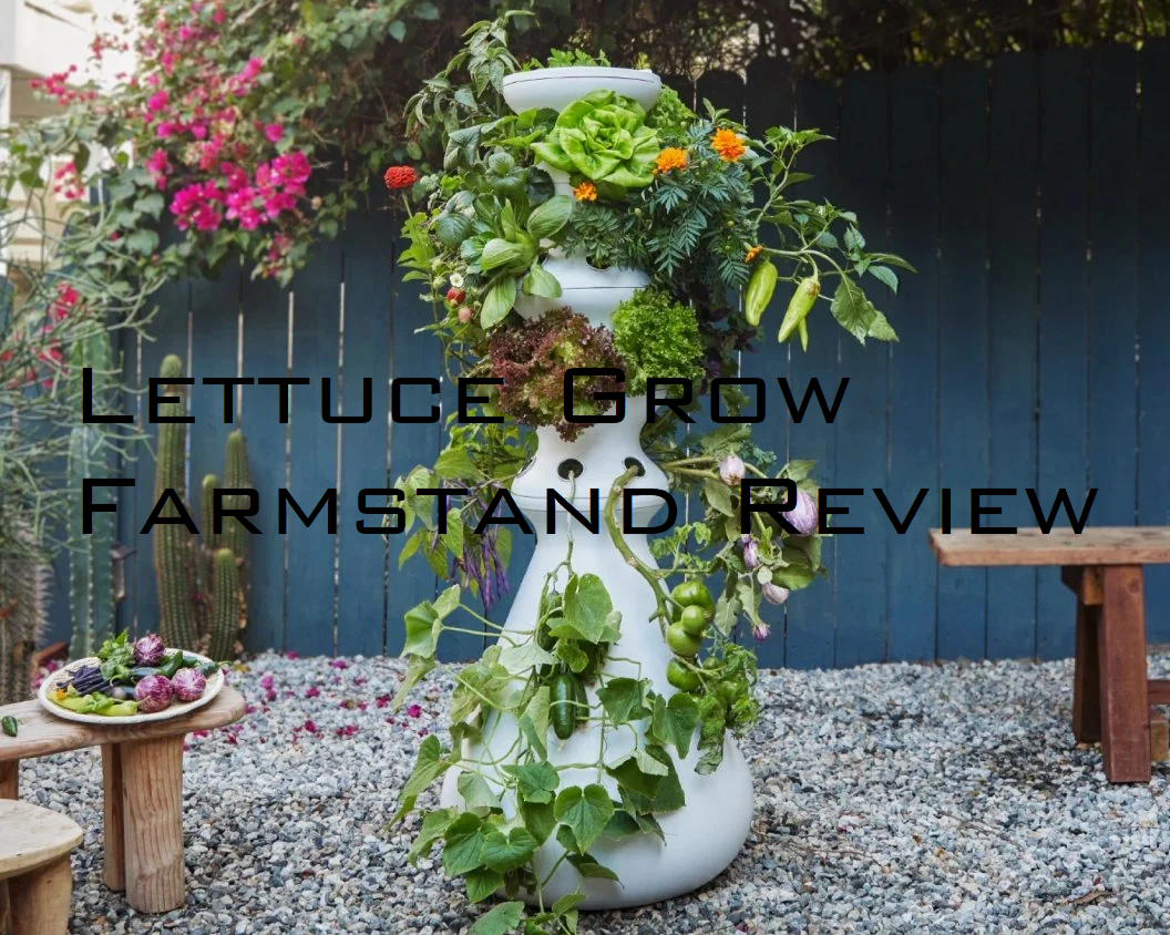 Lettuce Grow Farmstand Review: Is This Hydroponic System Worth It?