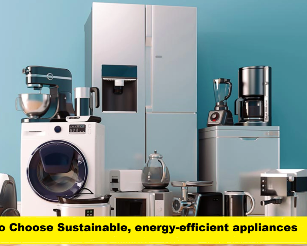 How to Choose Sustainable Energy Efficient Appliances: A Complete Guide for Smart Buyers