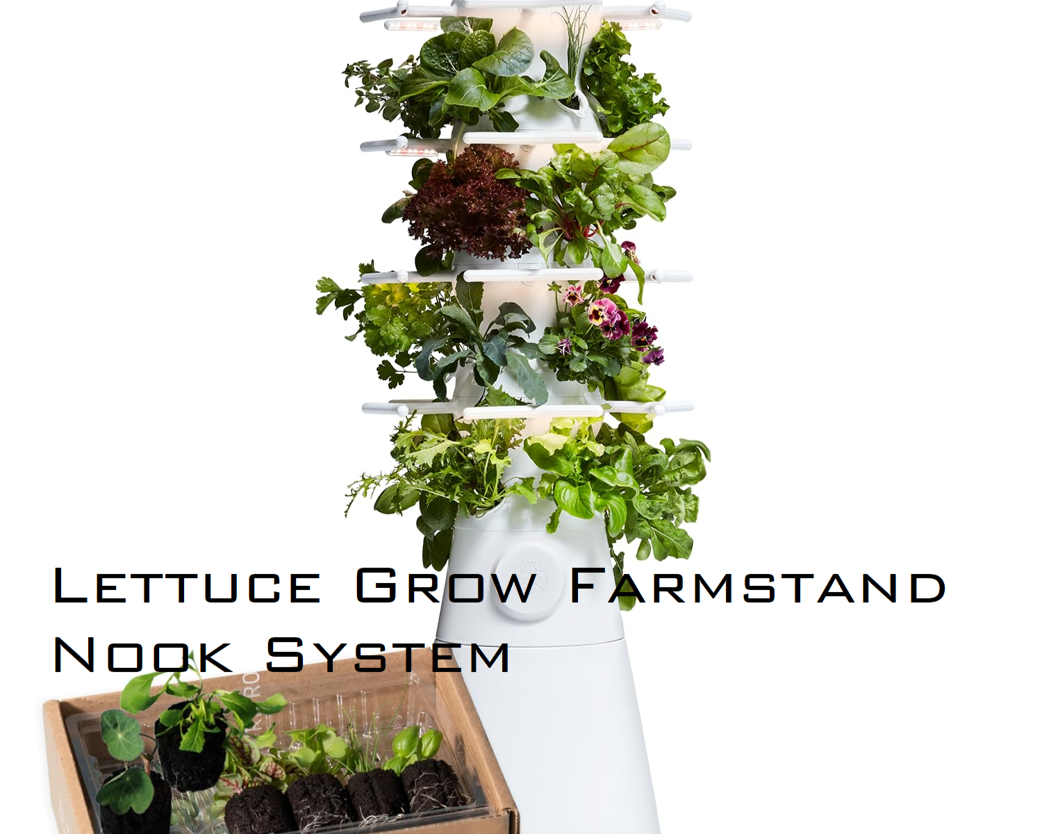 The Lettuce Grow Farmstand Nook System: Revolutionizing Indoor Gardening